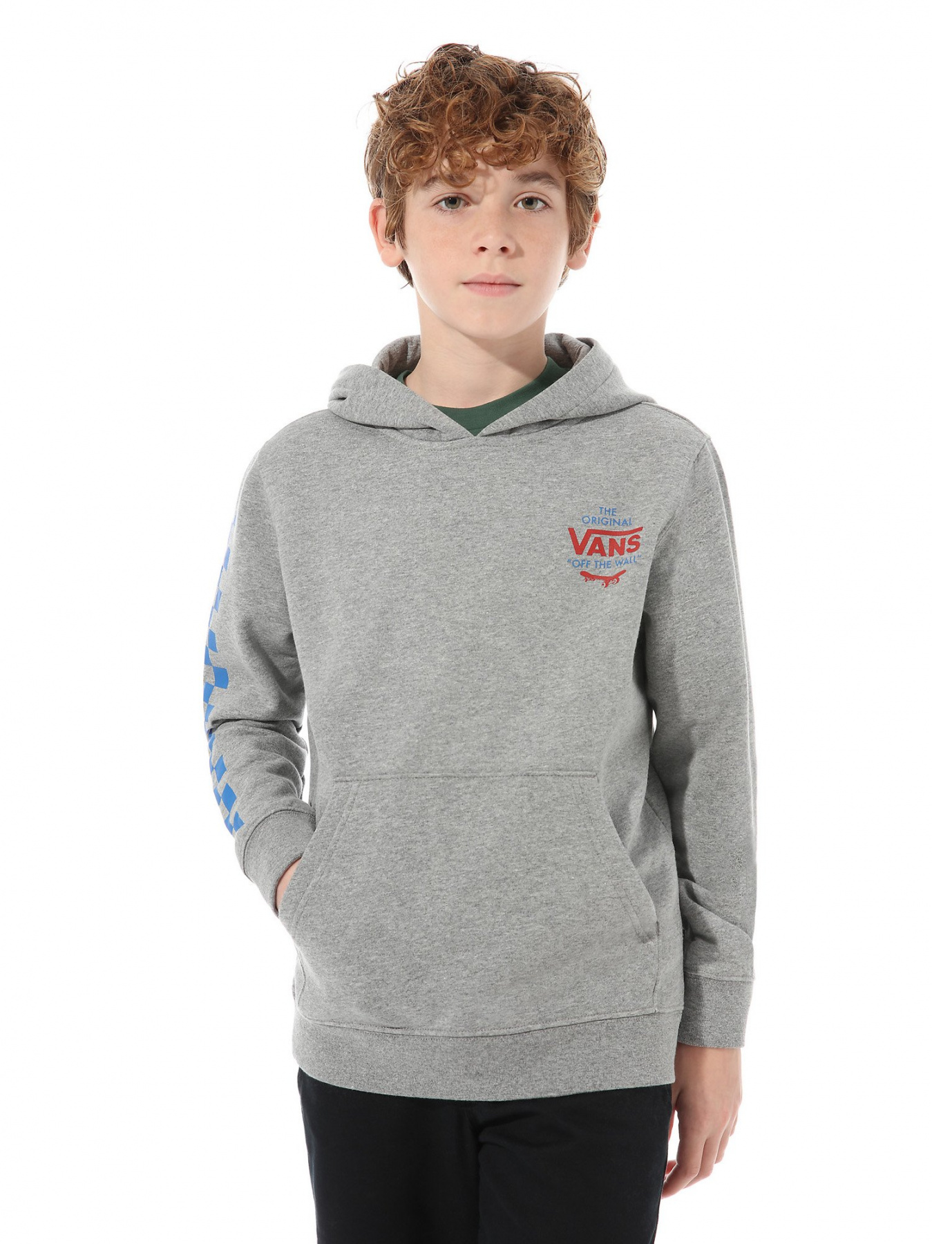 Худи и свитшоты Vans Disjunction модель VN0A4TS902F1 Фото