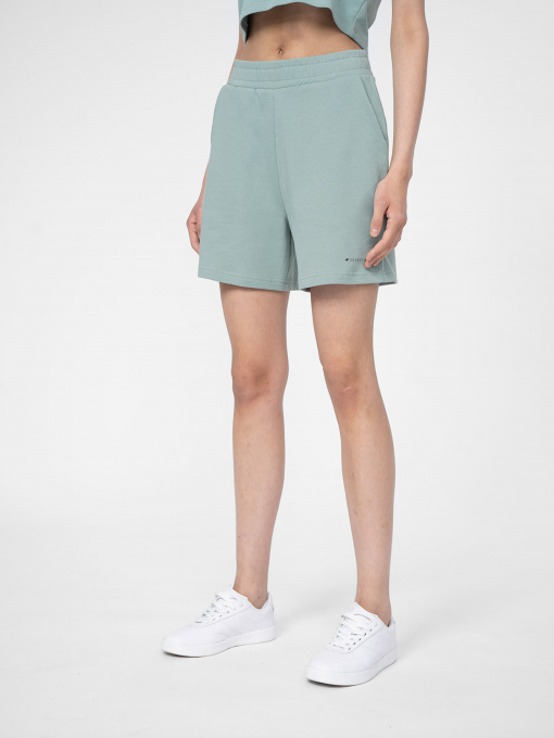 Шорты 4F Beachwear Passion модель 4FSS23TSHOF172-47S Фото