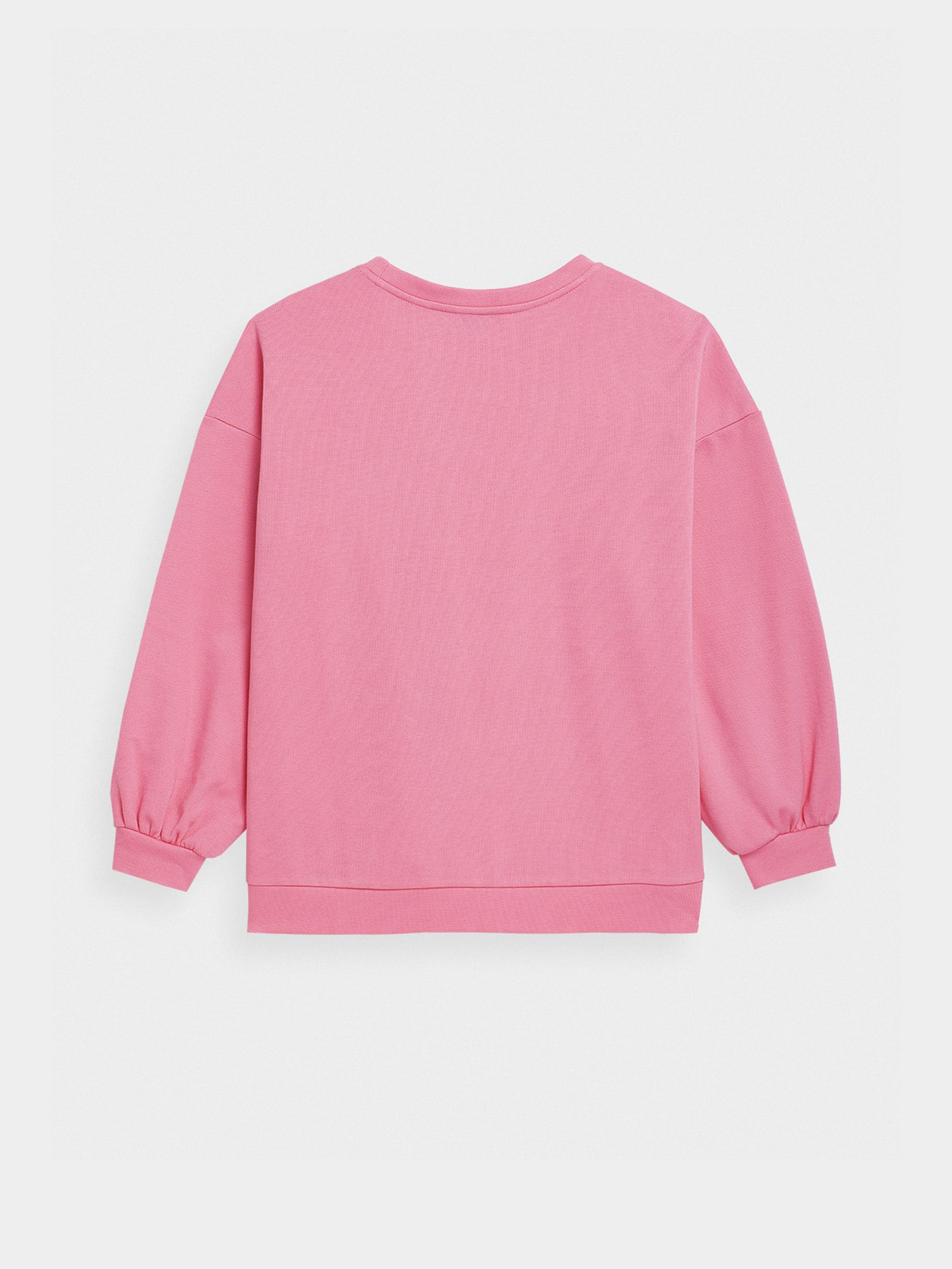 Худі та світшоти 4F Sweatshirt F254 модель 4FSS23TSWSF254-54S Худі та світшоти 4F Sweatshirt F254 модель 4FSS23TSWSF254-54S Фото