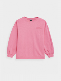Худі та світшоти 4F Sweatshirt F254 модель 4FSS23TSWSF254-54S Фото