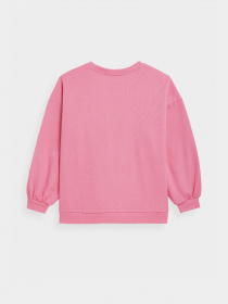 Худі та світшоти 4F Sweatshirt F254 модель 4FSS23TSWSF254-54S Фото