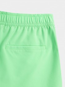 Шорти 4F Board Shorts F044 модель 4FSS23UBDSF044-41N Фото