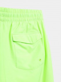Шорти 4F Retro Riviera модель 4FSS23UBDSM022-45N Фото