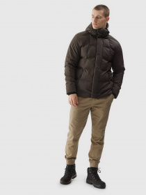 Куртки та дублянки 4F Outerwear модель 4FAW23TDJAM249-43S Фото