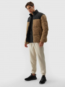 Куртки та дублянки 4F Outerwear модель 4FWAW23TDJAM348-82S Фото