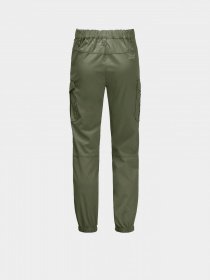 Штани Jack Wolfskin Treasure Hunter модель 1608381_4129 Фото