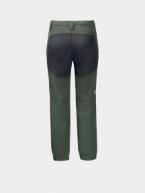 Штани Jack Wolfskin Rascal Winter модель 1604192_5032 Фото