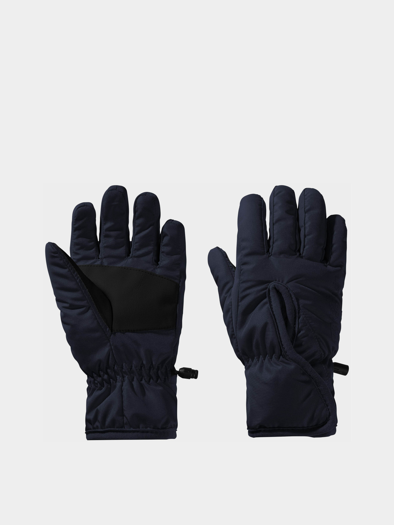 Перчатки и варежки Jack Wolfskin Easy Entry модель 1900167_1010 Фото