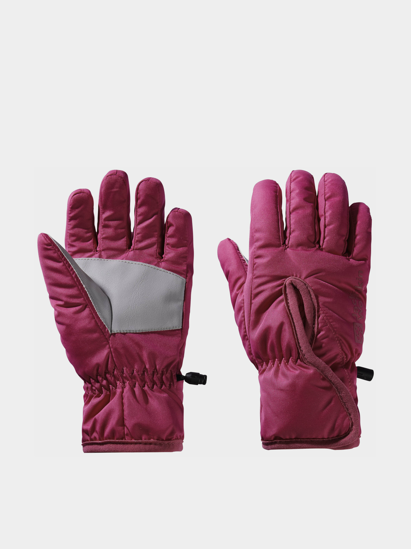 Перчатки и варежки Jack Wolfskin Easy Entry модель 1900167_2232 Фото