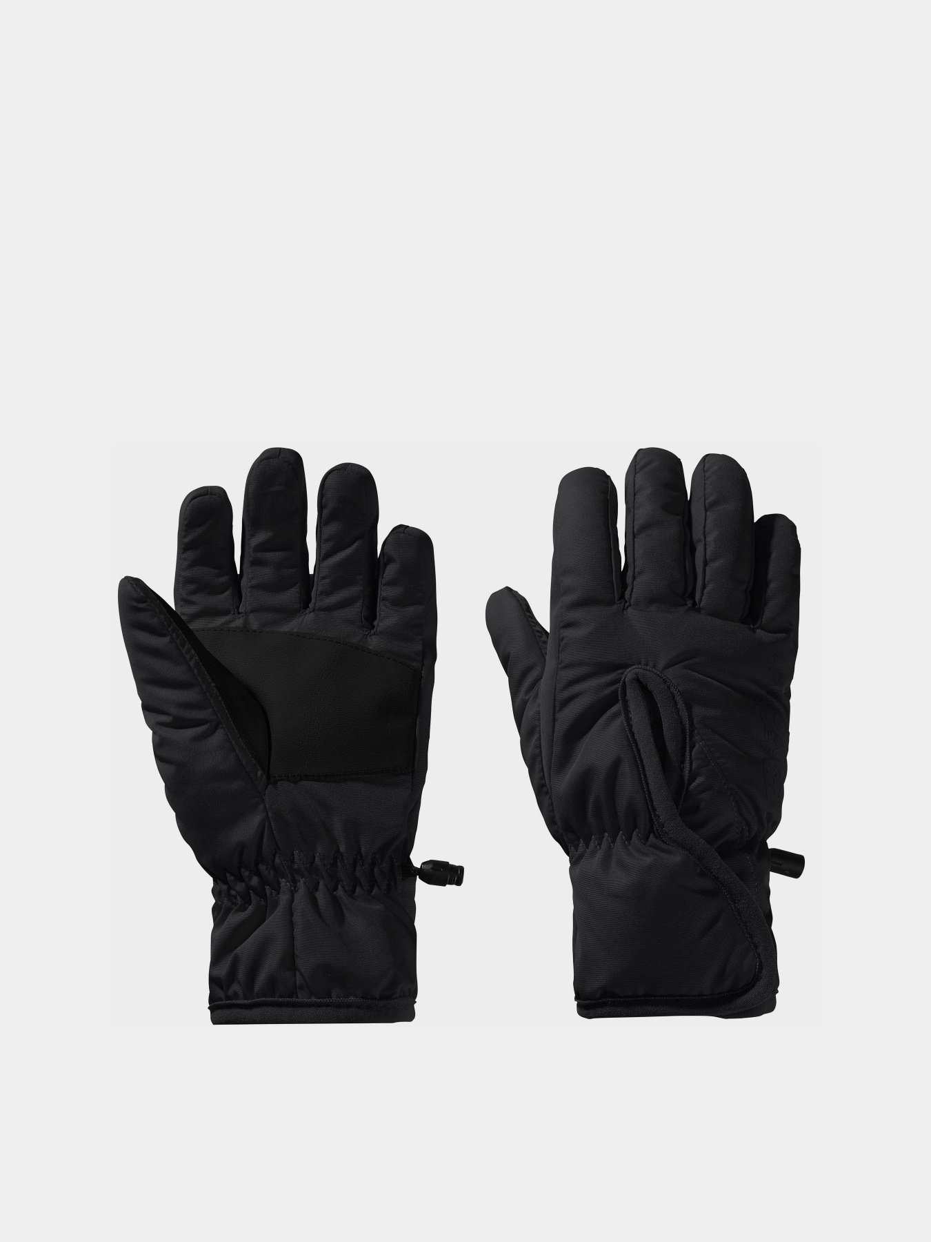 Перчатки и варежки Jack Wolfskin Easy Entry модель 1900167_6000 Фото