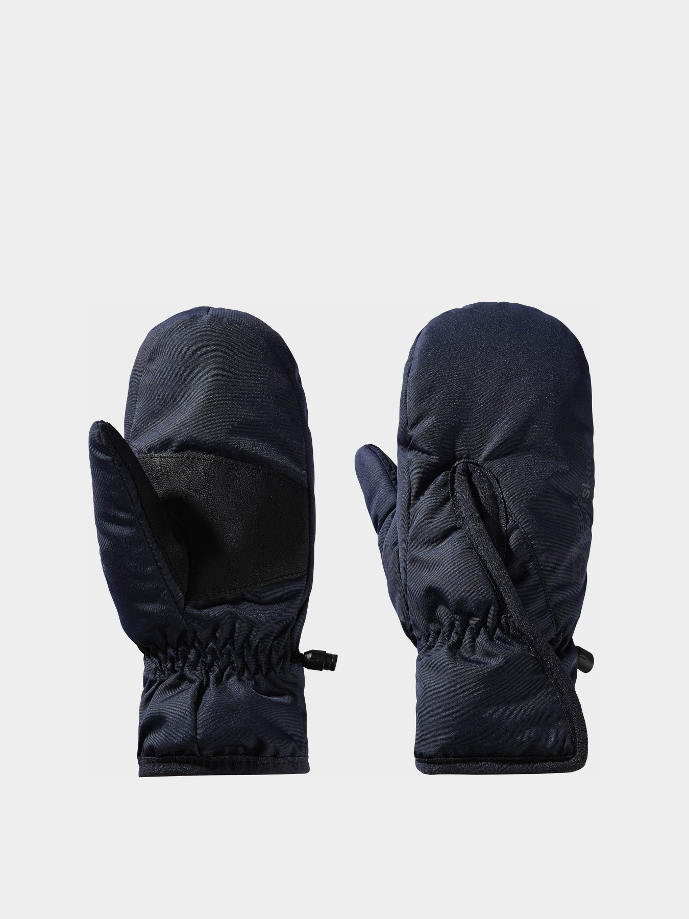 Перчатки и варежки Jack Wolfskin Easy Entry модель 1900187_1010 Фото