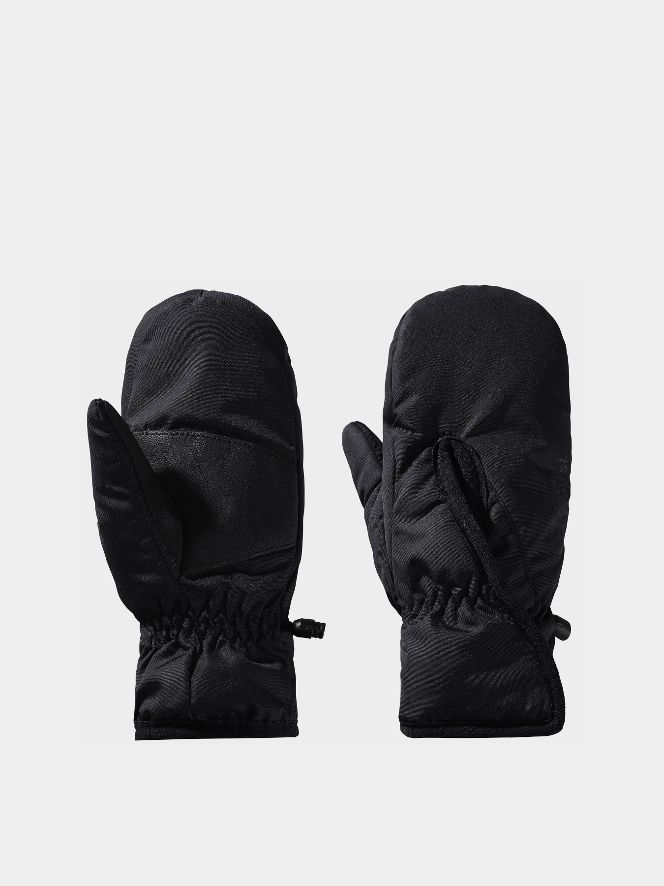 Перчатки и варежки Jack Wolfskin Easy Entry модель 1900187_6000 Фото
