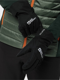 Перчатки и варежки Jack Wolfskin Winter Basic модель 1911521_6000 Фото