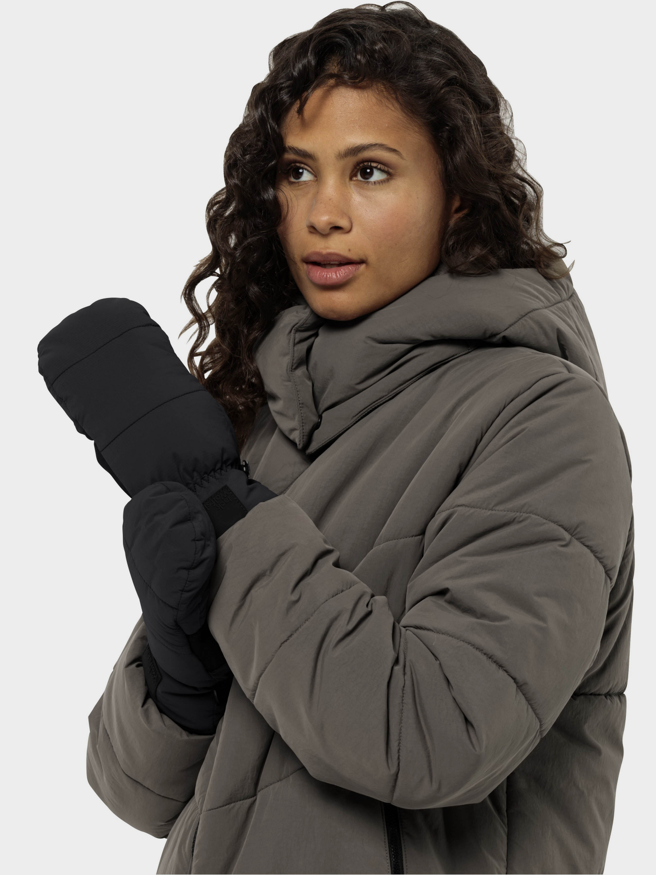 Перчатки и варежки Jack Wolfskin Roemertor модель 1911551_6350 Перчатки и варежки Jack Wolfskin Roemertor модель 1911551_6350 Фото