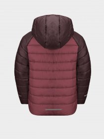 Куртки и дубленки Jack Wolfskin Zenon Jacket модель 1604145_2428 Фото