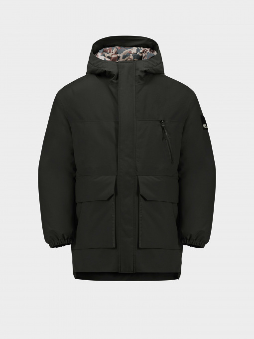 Куртки и дубленки Jack Wolfskin Teen 2L INS модель 1610151_6502 Фото