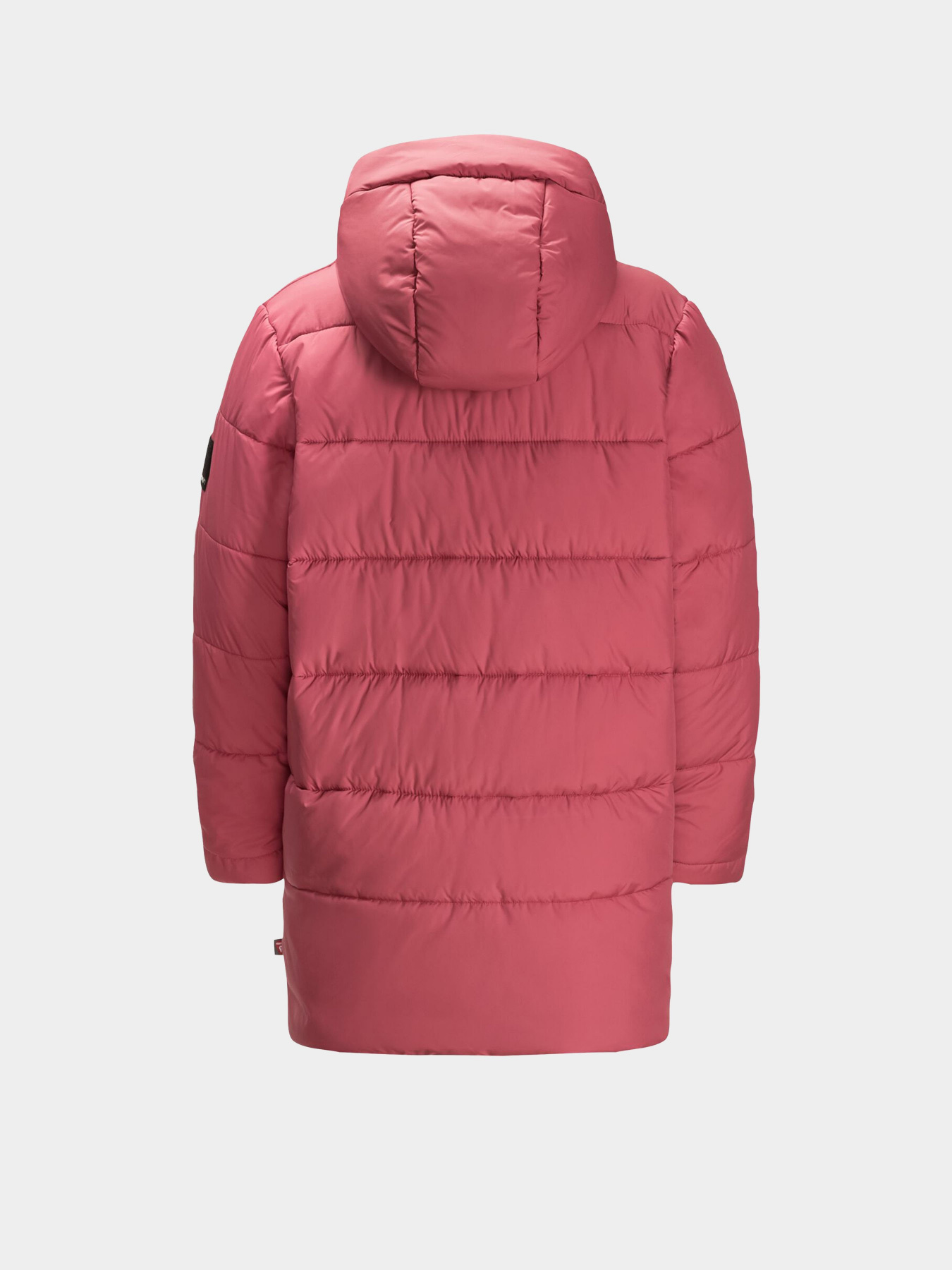 Куртки та дублянки Jack Wolfskin Teen Ins модель 1610171_2428 Куртки та дублянки Jack Wolfskin Teen Ins модель 1610171_2428 Фото