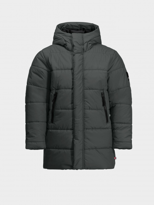 Куртки та дублянки Jack Wolfskin Teen Ins модель 1610171_4136 Фото