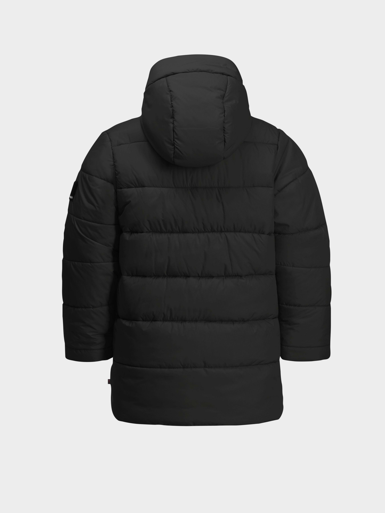 Куртки та дублянки Jack Wolfskin Teen Ins модель 1610171_6502 Куртки та дублянки Jack Wolfskin Teen Ins модель 1610171_6502 Фото