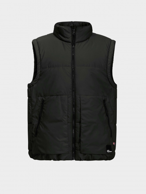 Куртки и дубленки Jack Wolfskin Teen Ins Vest Y модель 1610211_6502 Фото