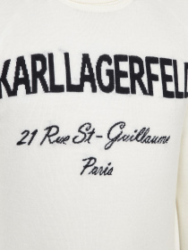 Худі та світшоти Karl Lagerfeld модель 534399.655020;89 Фото