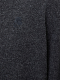 Худі та світшоти Karl Lagerfeld модель 544399.655000;971 Фото