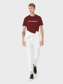 Футболки і поло Emporio Armani модель 8N1TN5-1JPZZ-0402 Фото