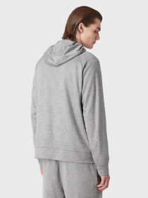 Худи и свитшоты Emporio Armani модель 3R1B6P-1J28Z-0616 Фото