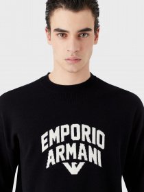 Свитры и кардиганы Emporio Armani модель 3R1MXA-1MDXZ-0920 Фото