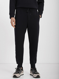 Брюки Emporio Armani модель 3R1PCG-1JHSZ-0920 Фото