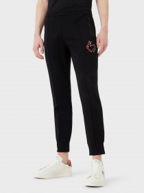 Брюки Emporio Armani модель 3R1PE8-1JHSZ-0999 Фото