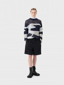 Шорти Emporio Armani модель 3R1PG0-1NNIZ-0920 Фото