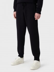 Штани Emporio Armani модель 3R1PXJ-1MDUZ-0920 Фото