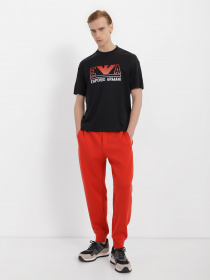 Брюки Emporio Armani модель 3R1PZ5-1JHSZ-0261 Фото