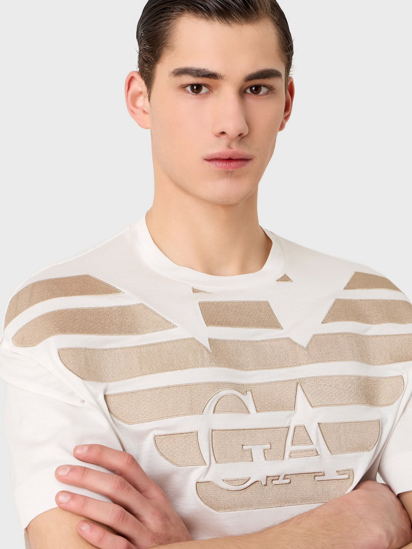Футболки і поло Emporio Armani модель 3R1TZ2-1JUVZ-01G0 Футболки і поло Emporio Armani модель 3R1TZ2-1JUVZ-01G0 Фото