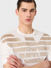 Футболки і поло Emporio Armani модель 3R1TZ2-1JUVZ-01G0 Фото