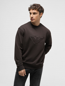 Худи и свитшоты Emporio Armani модель 6R1MG5-1JWPZ-05D6 Фото
