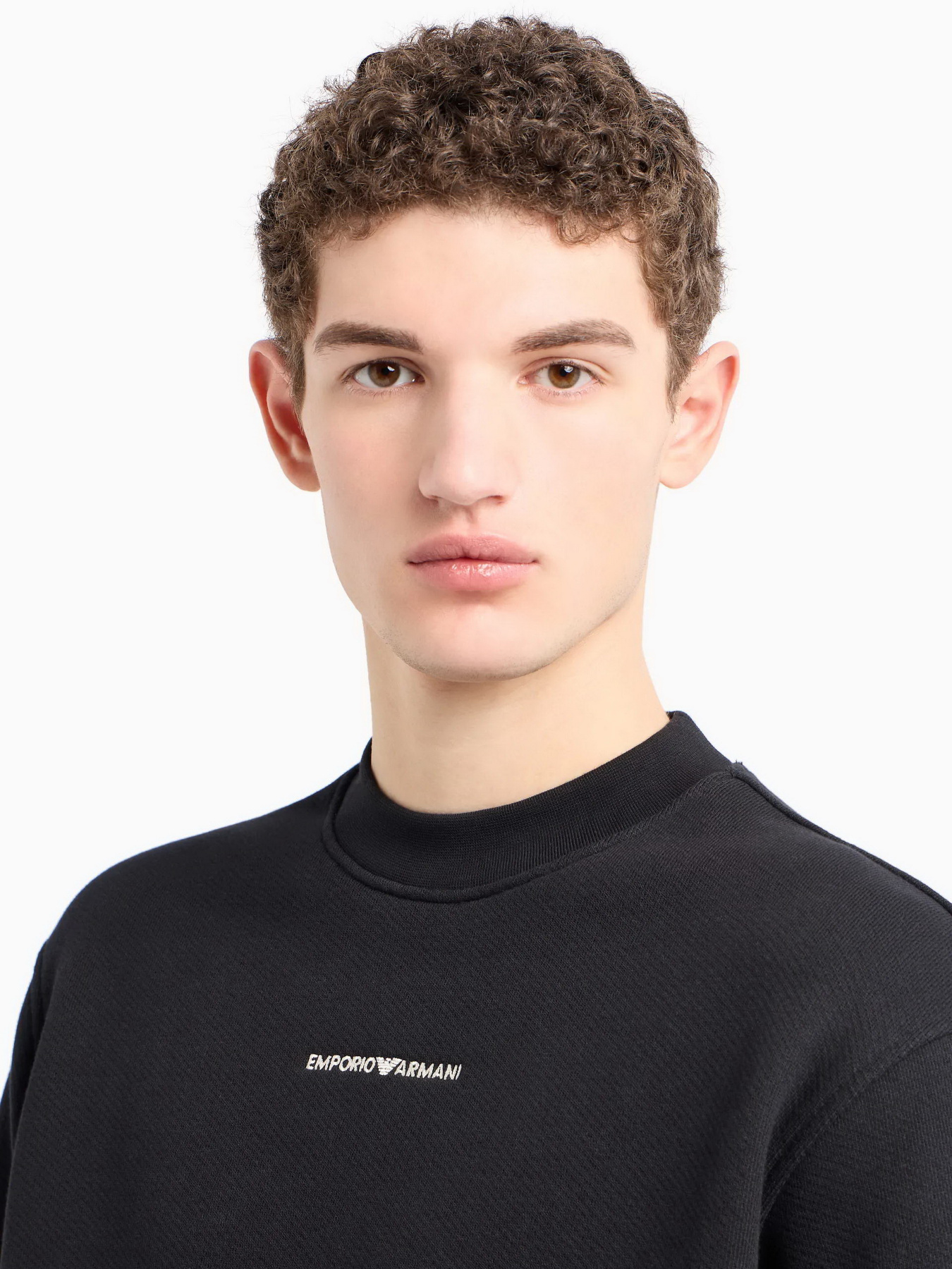 Худи и свитшоты Emporio Armani модель 3D1MEC-1JODZ-0033 Фото