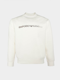 Худи и свитшоты Emporio Armani модель 3D1M70-1JHSZ-01B1 Фото