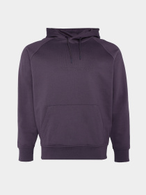 Худи и свитшоты Emporio Armani модель 3D1M88-1JOQZ-0861 Фото