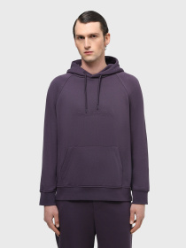 Худи и свитшоты Emporio Armani модель 3D1M88-1JOQZ-0861 Фото