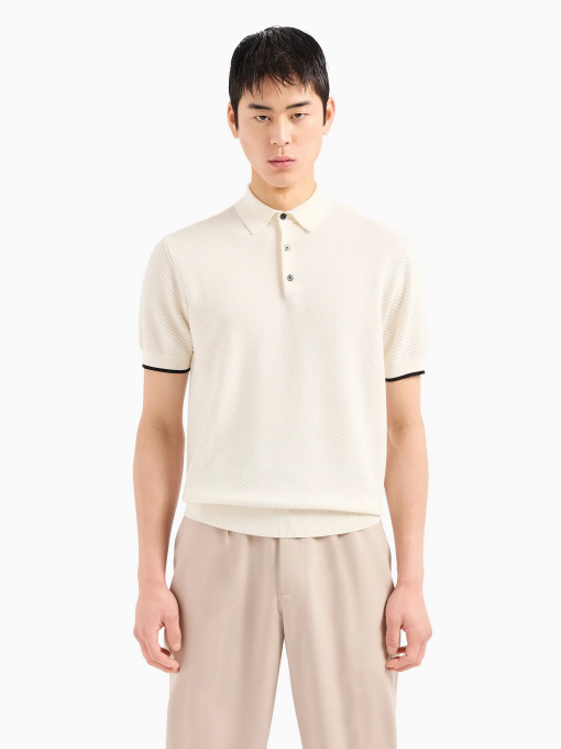 Футболки и поло Emporio Armani модель 3D1MXM-1MPGZ-F110 Фото