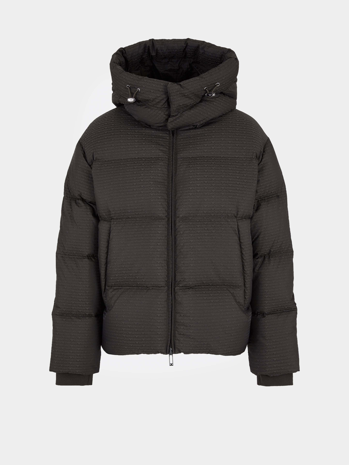 Куртки и дубленки Emporio Armani модель 6D1BC3-1NNXZ-05A6 Куртки и дубленки Emporio Armani модель 6D1BC3-1NNXZ-05A6 Фото