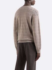 Свитры и кардиганы Emporio Armani модель 6D1MXK-1MJNZ-0144 Фото