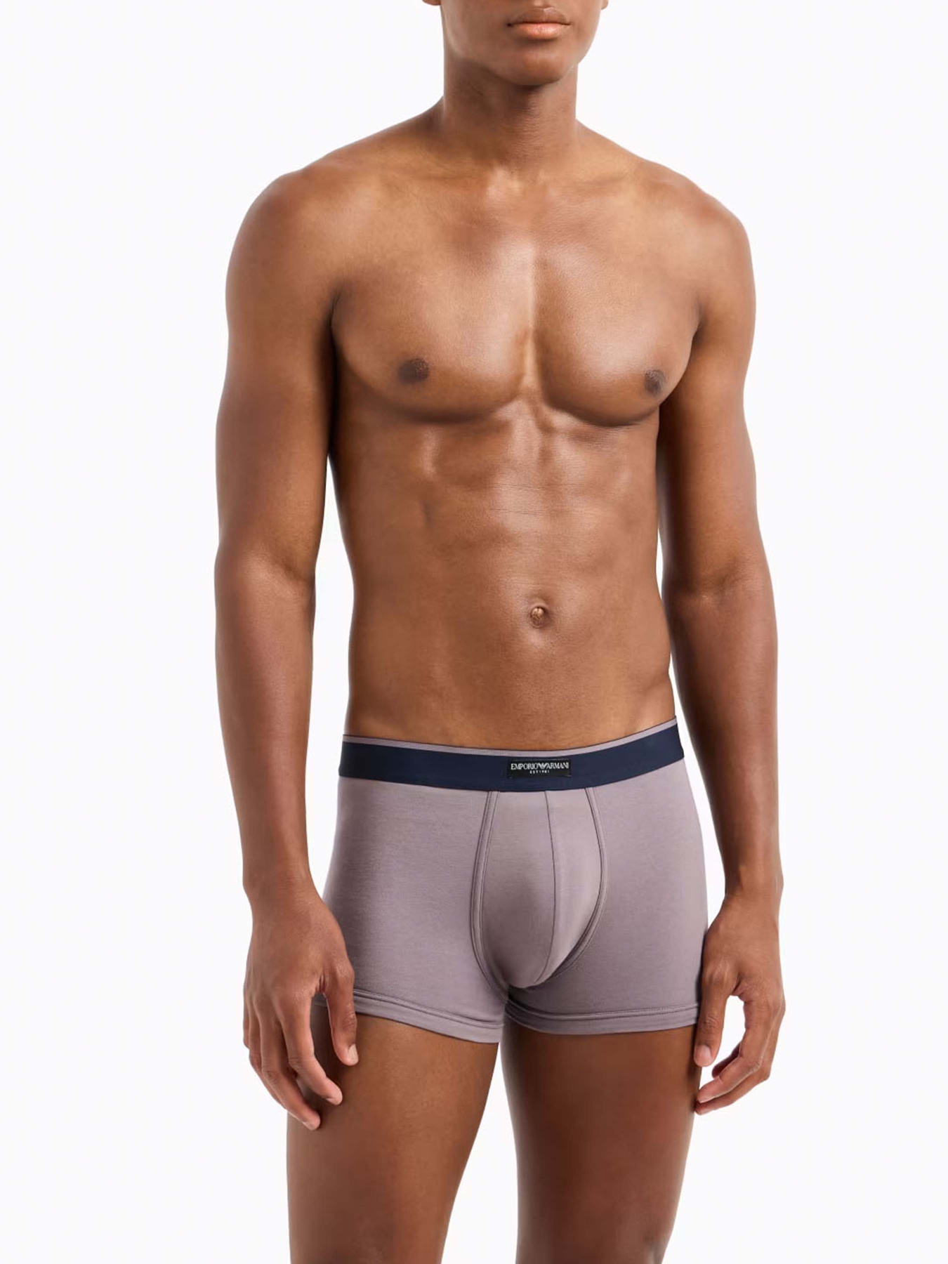 Нижнее белье Emporio Armani модель EM000254-AF10777-MB087 Нижнее белье Emporio Armani модель EM000254-AF10777-MB087 Фото
