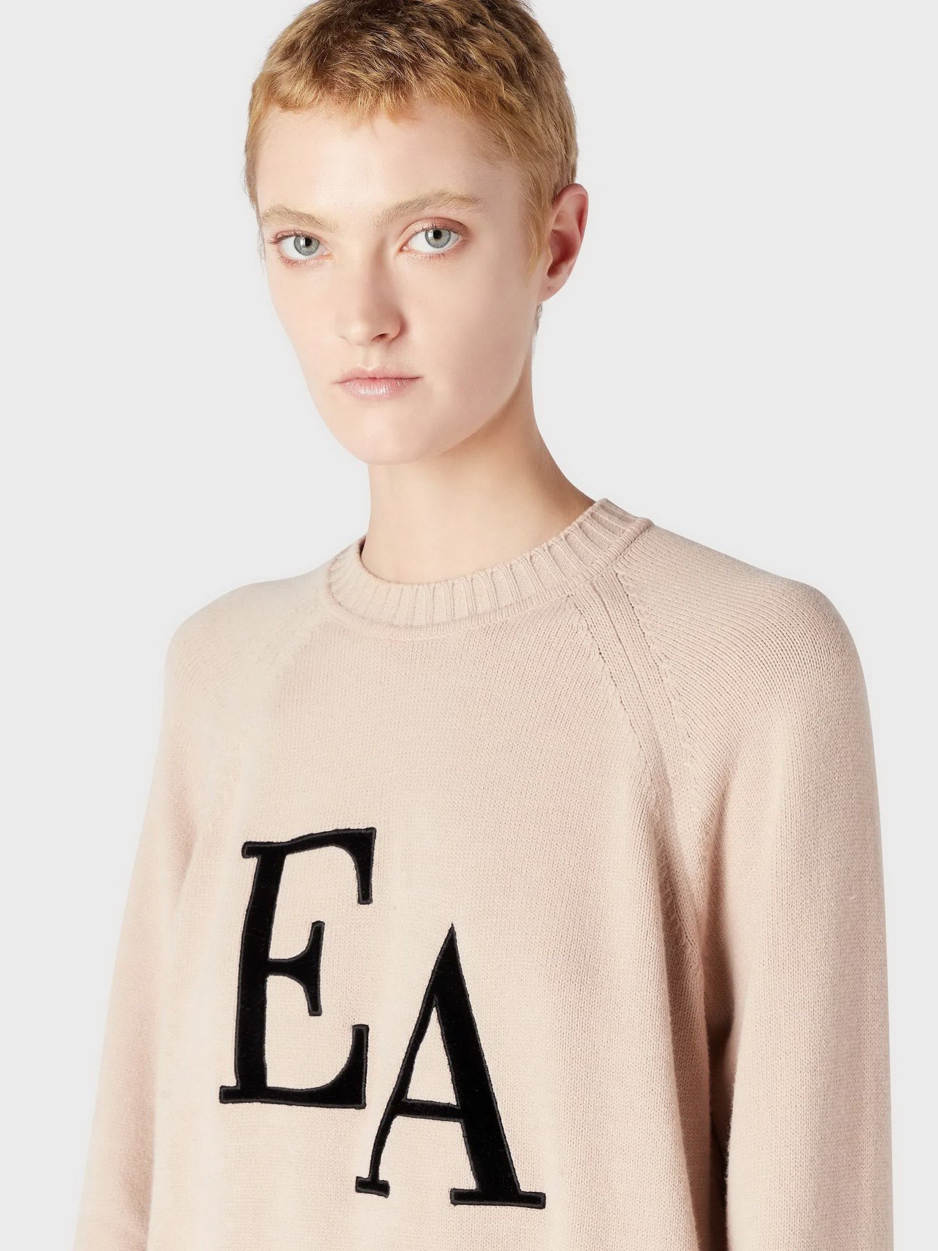 Свитры и кардиганы Emporio Armani модель 8N2MYL-2MA6Z-0213 Фото