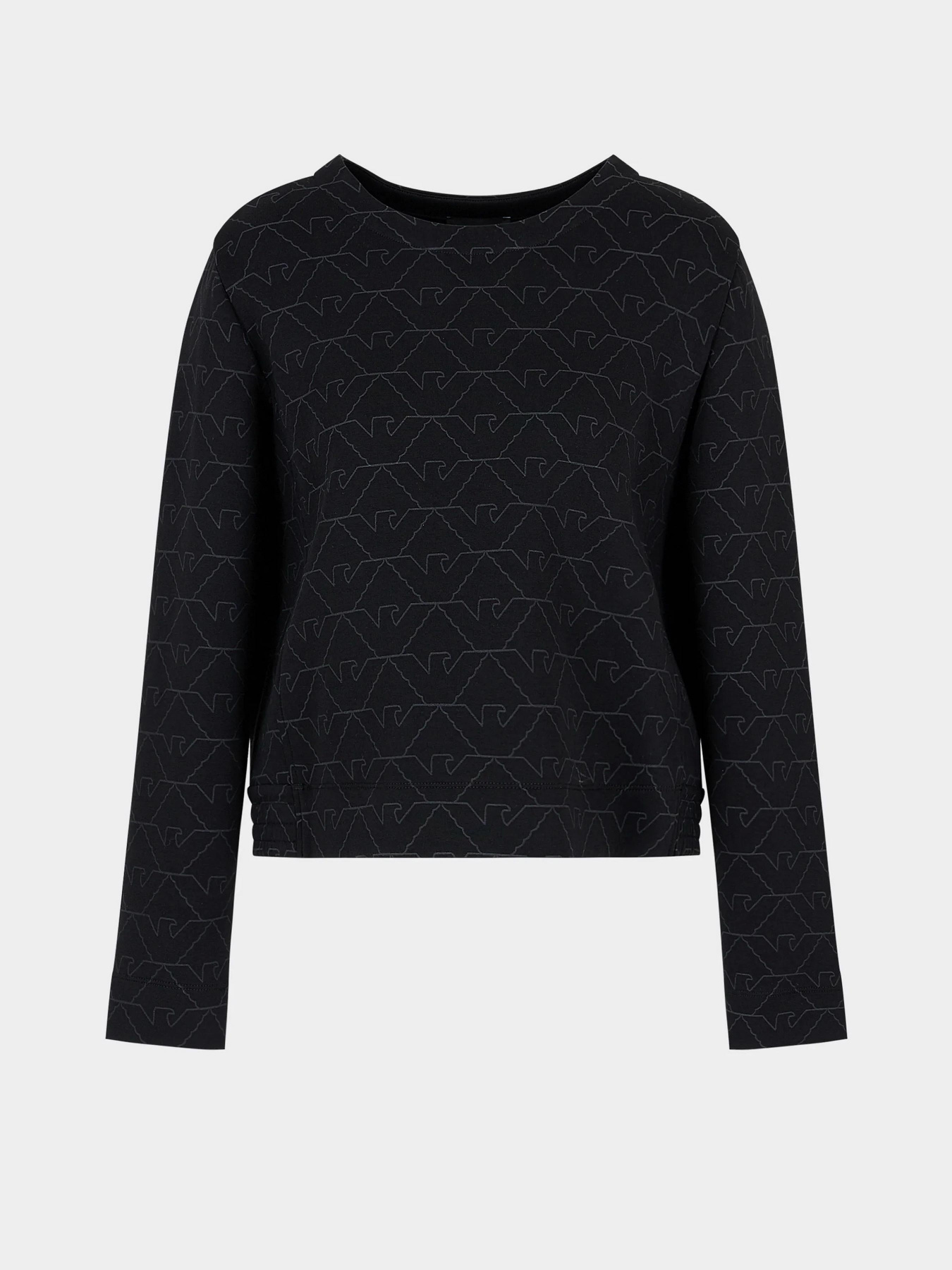 Худи и свитшоты Emporio Armani модель 3D2M6H-1JHSZ-F010 Худи и свитшоты Emporio Armani модель 3D2M6H-1JHSZ-F010 Фото