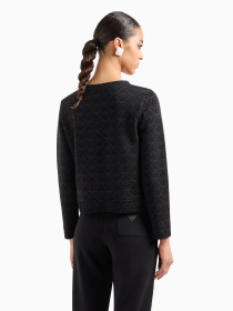 Худи и свитшоты Emporio Armani модель 3D2M6H-1JHSZ-F010 Фото