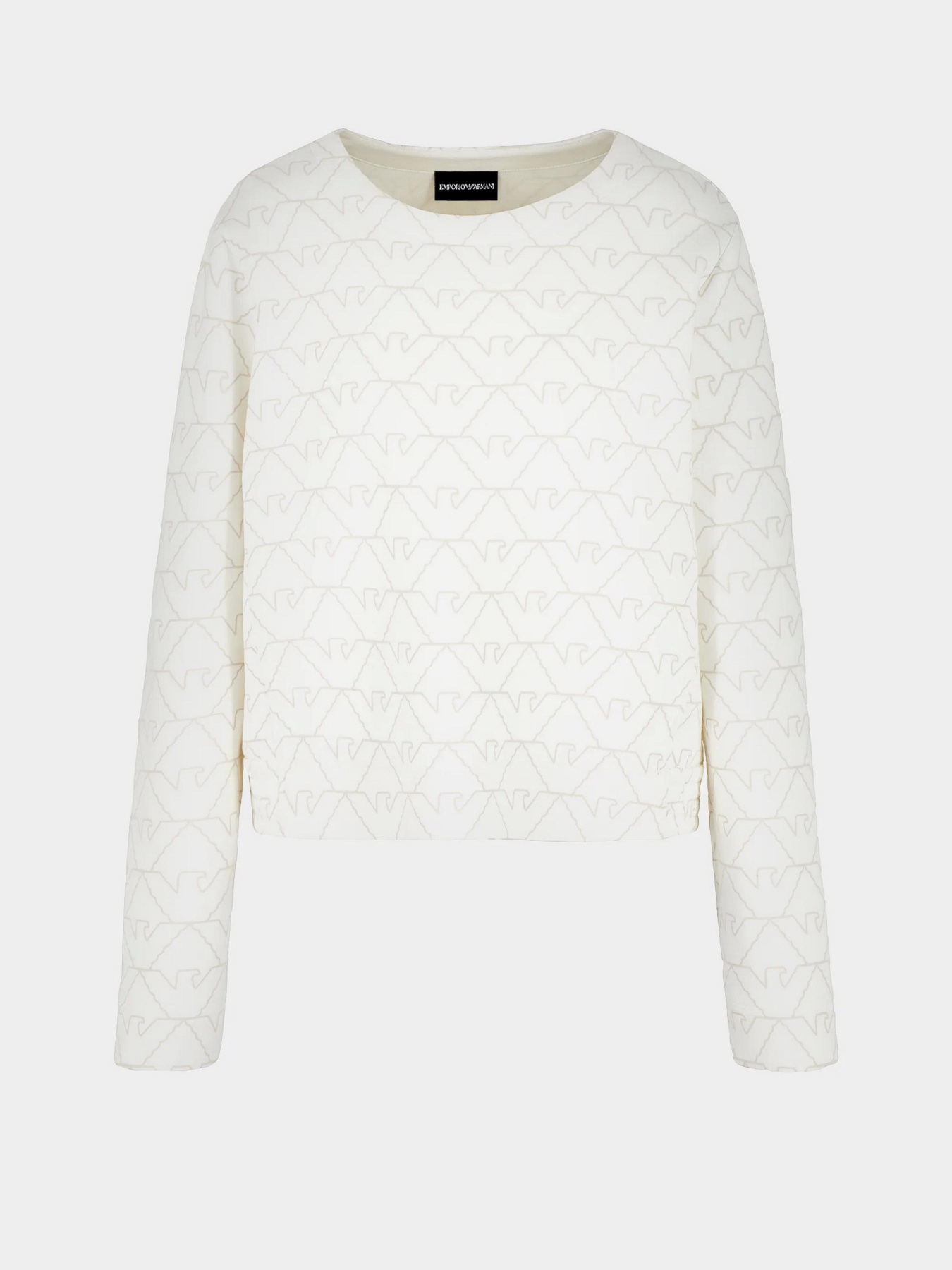 Худи и свитшоты Emporio Armani модель 3D2M6H-1JHSZ-F126 Фото