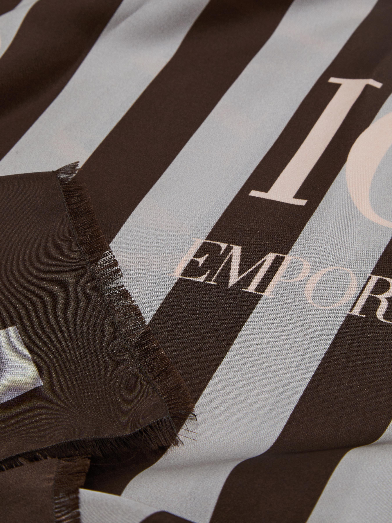 Шарфы и платки Emporio Armani модель EW004043-AF23574-F8092 Фото